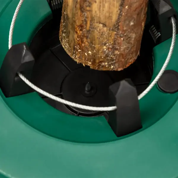 Hooks clamped on the trunk